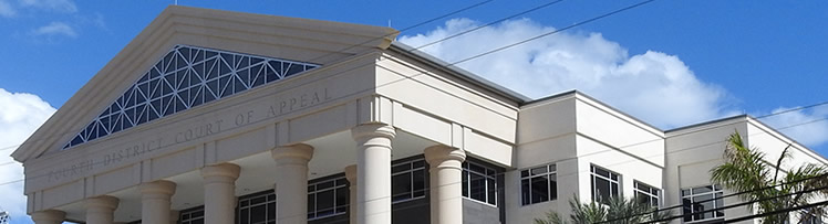4district court criminal appeals court