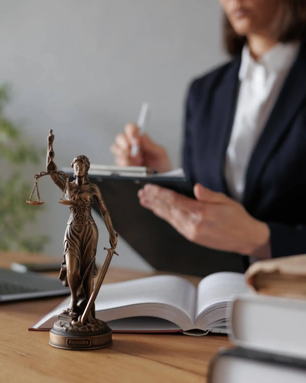 appellate attorney